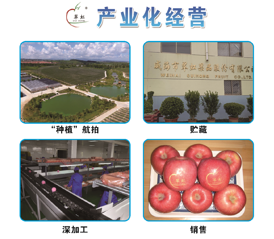 產(chǎn)業(yè)化經(jīng)營(圖1) 產(chǎn)業(yè)化經(jīng)營(圖1)
